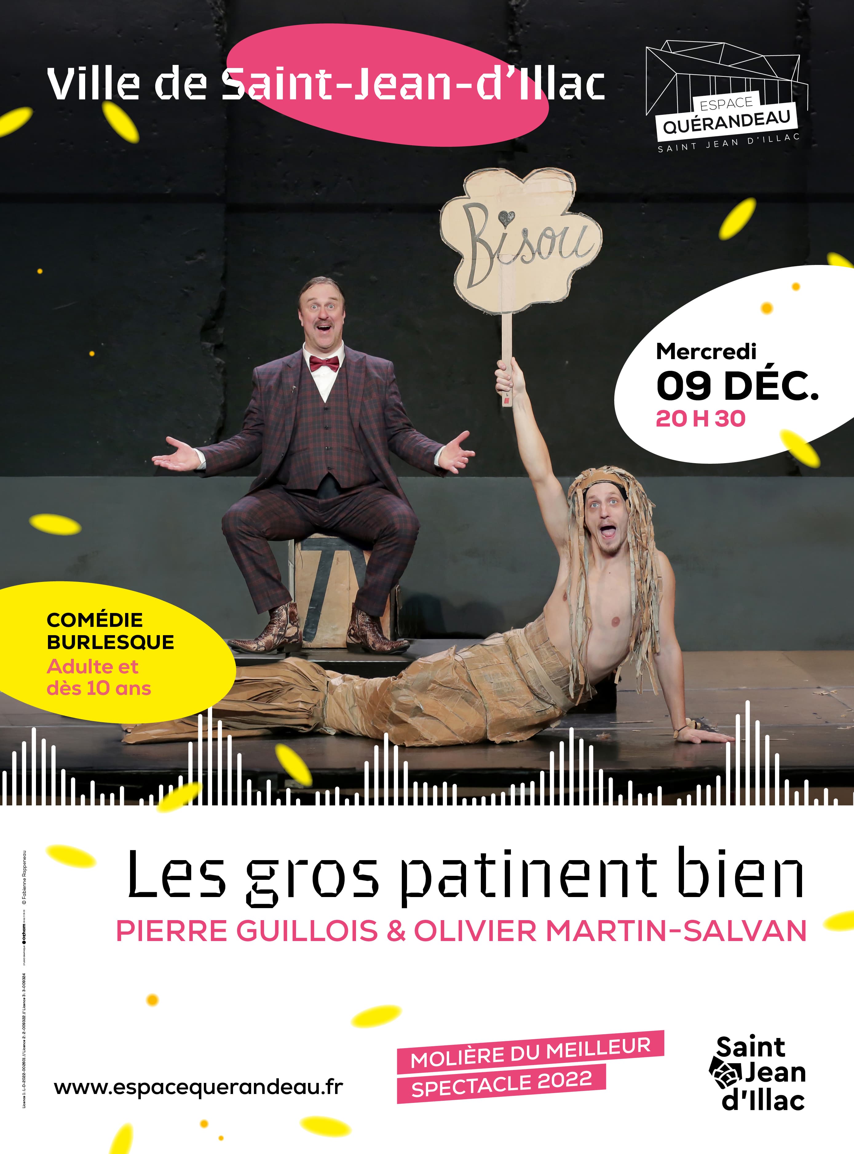 Les Gros patinent bien / Pierre Guillois & Olivier Martin-Salvan
