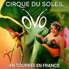 Cirque du Soleil - Ovo