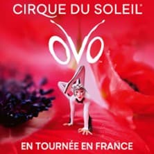 Cirque du Soleil - Ovo