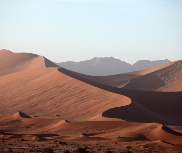 Escale musicale : Voyage en Afrique