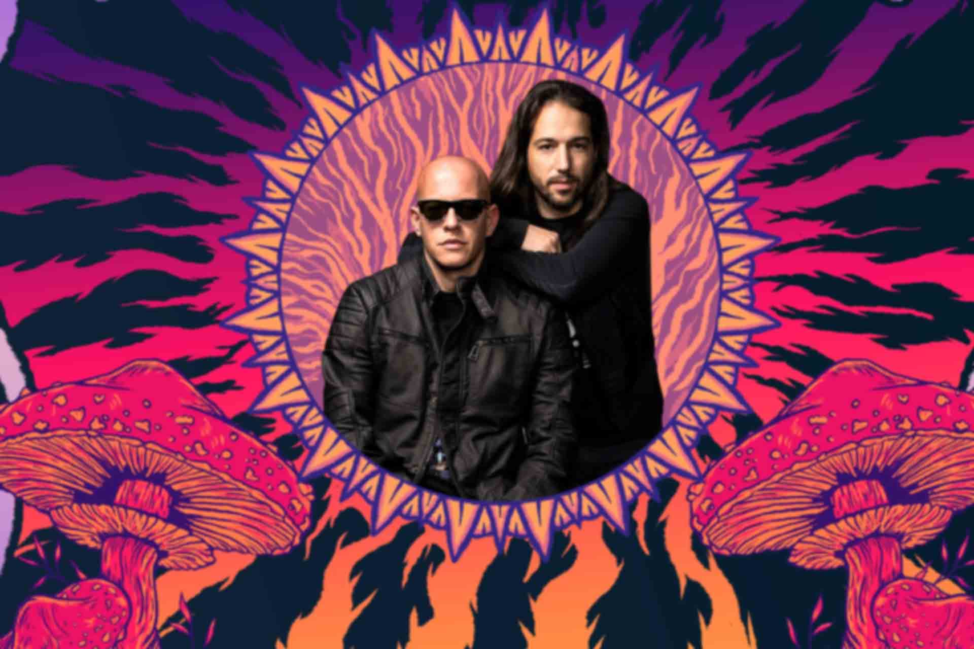 Infected Mushroom