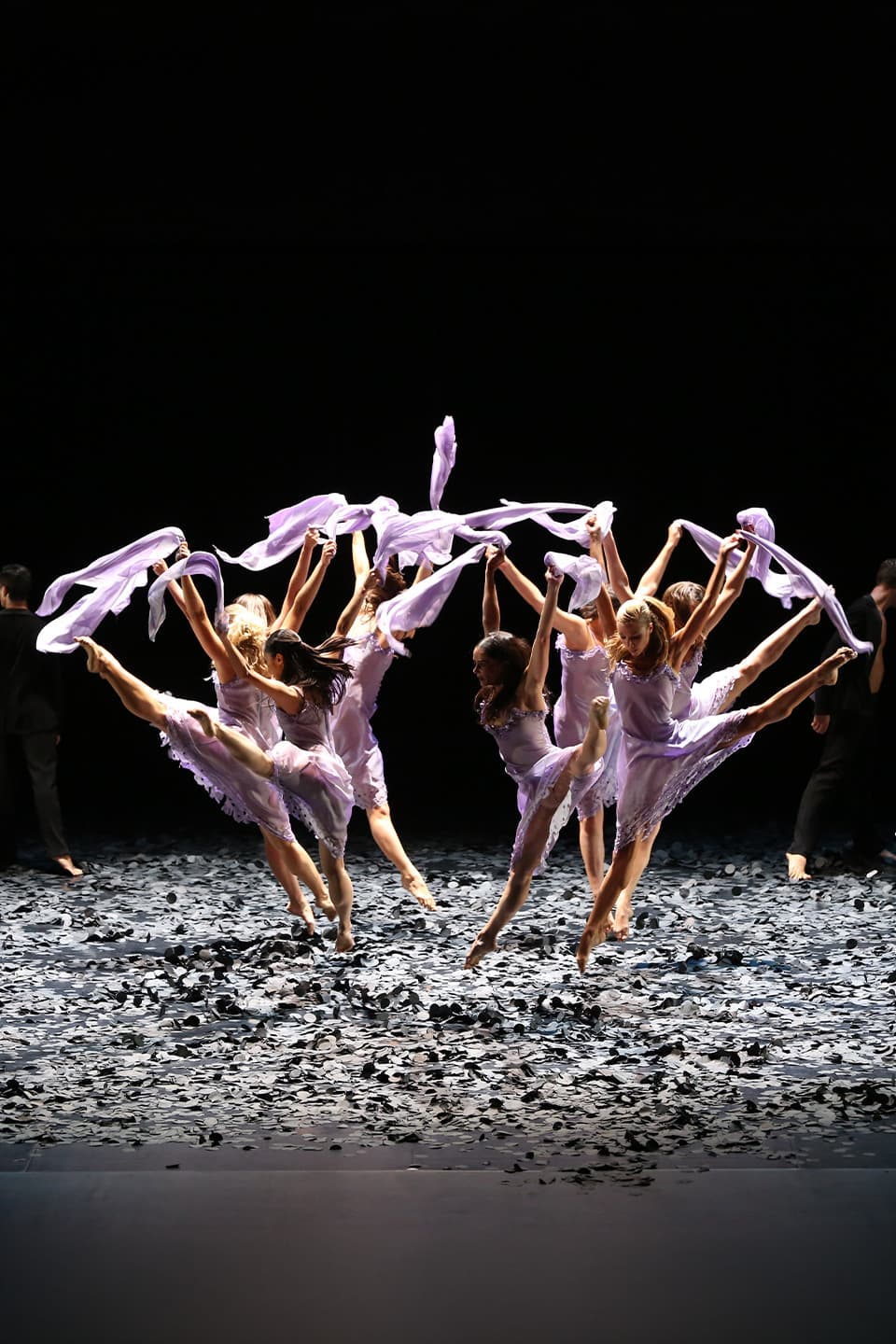 Malandain Ballet Biarritz : L'Amour sorcier / Don Quichotte