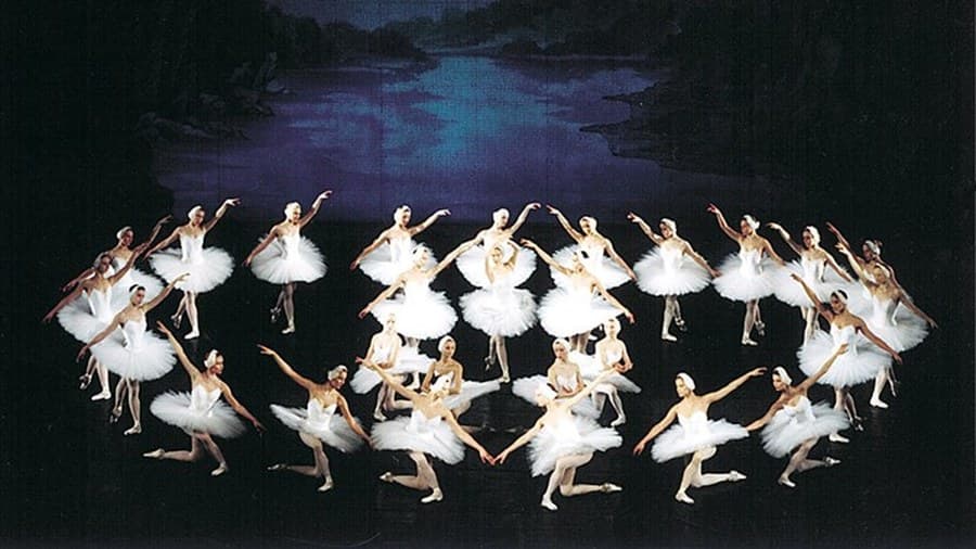 Le Lac des Cygnes