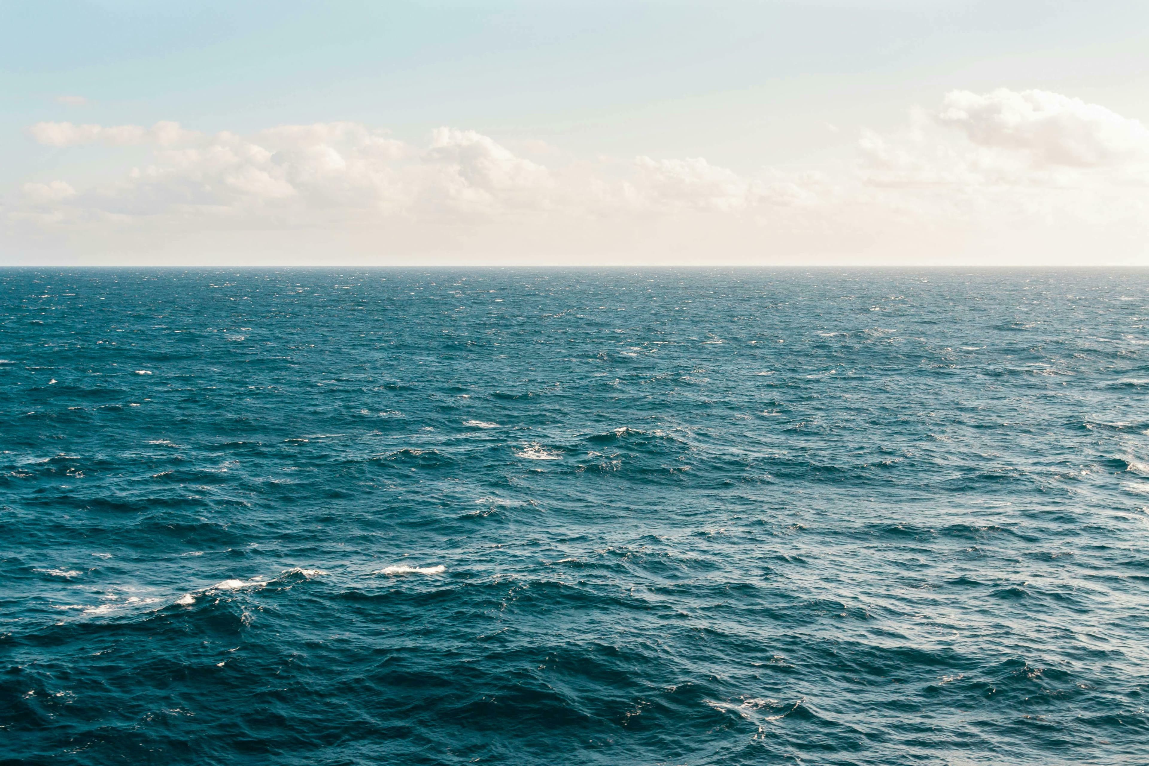 Le Printemps des Floiraconteuses : la mer