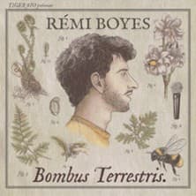 Rémi Boyes : Bombus Terrestris