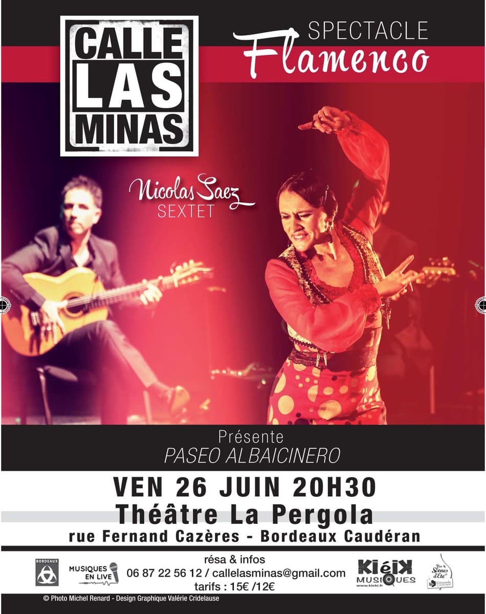 Spectacle flamenco