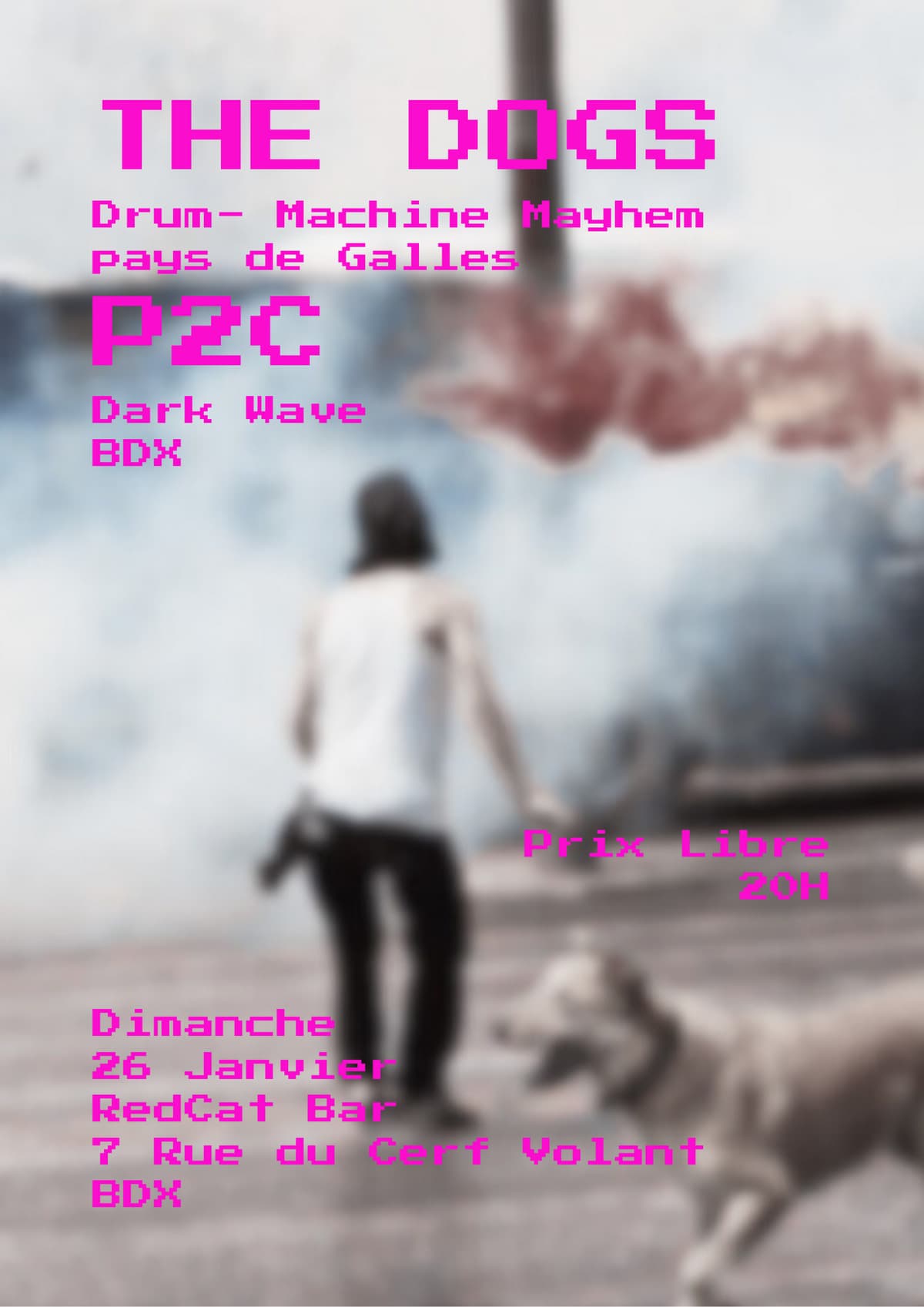 The Dogs + P2C