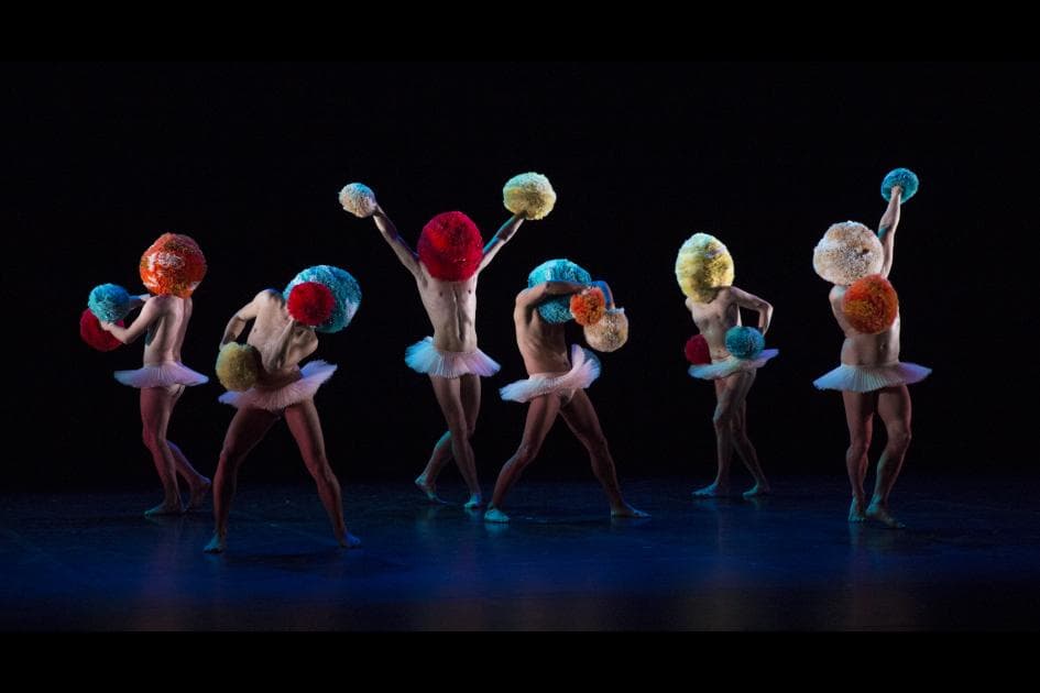 Tutu