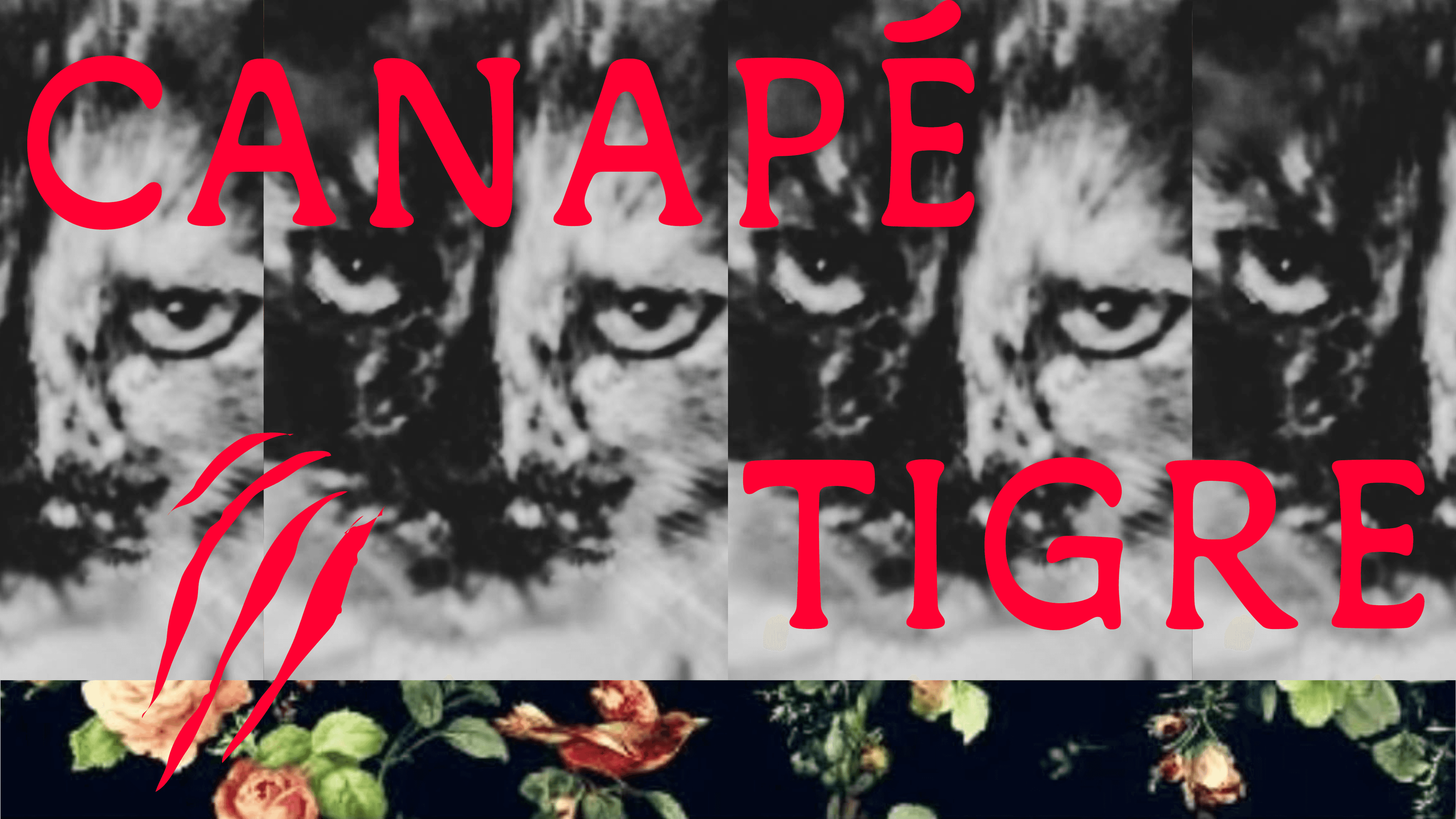 Canapé Tigre DJ set