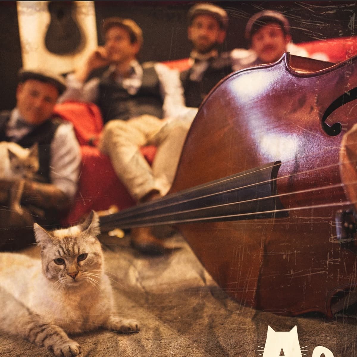 A Rise To Kats