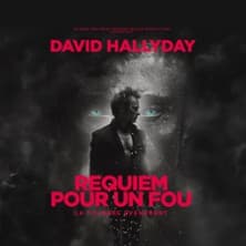 David Hallyday - Requiem pour un Fou