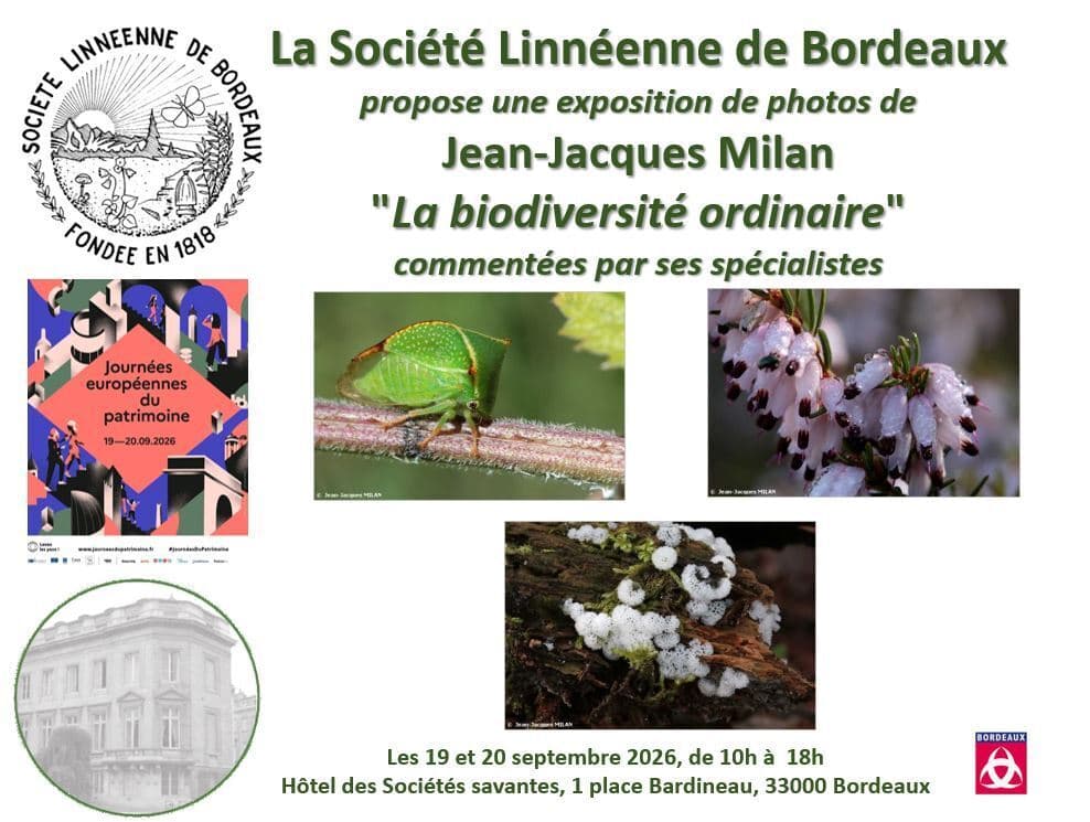 JEP 2026 - Société Linnéenne de Bordeaux - Expo photo : la biodiversité ordinaire par Jean-Jacques Milan
