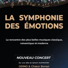 Odino et Choeur Bonsai - La Symphonie des Emotions