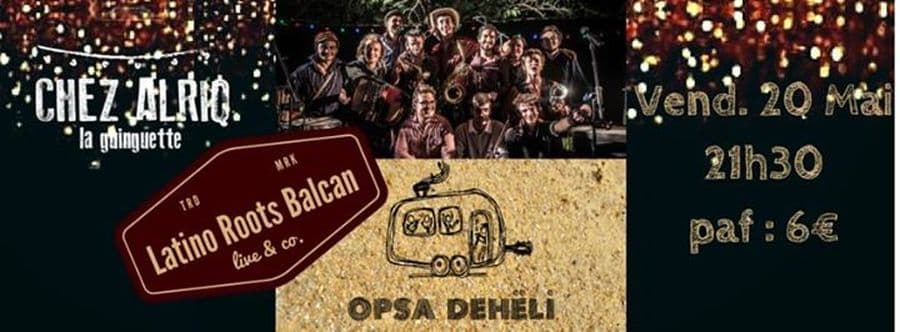 OPSA DEHELI