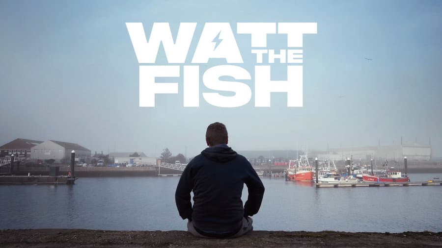 Projection Watt the Fish ~ WLC X Bloom X InFocus
