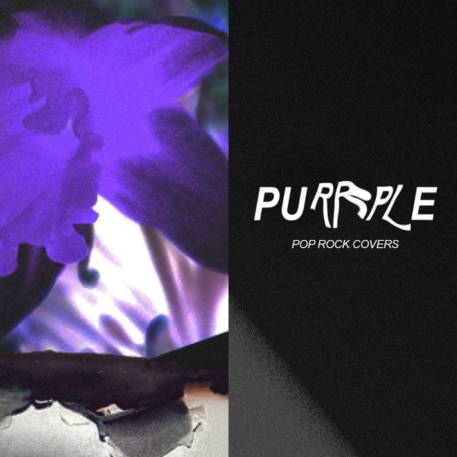 Purrple