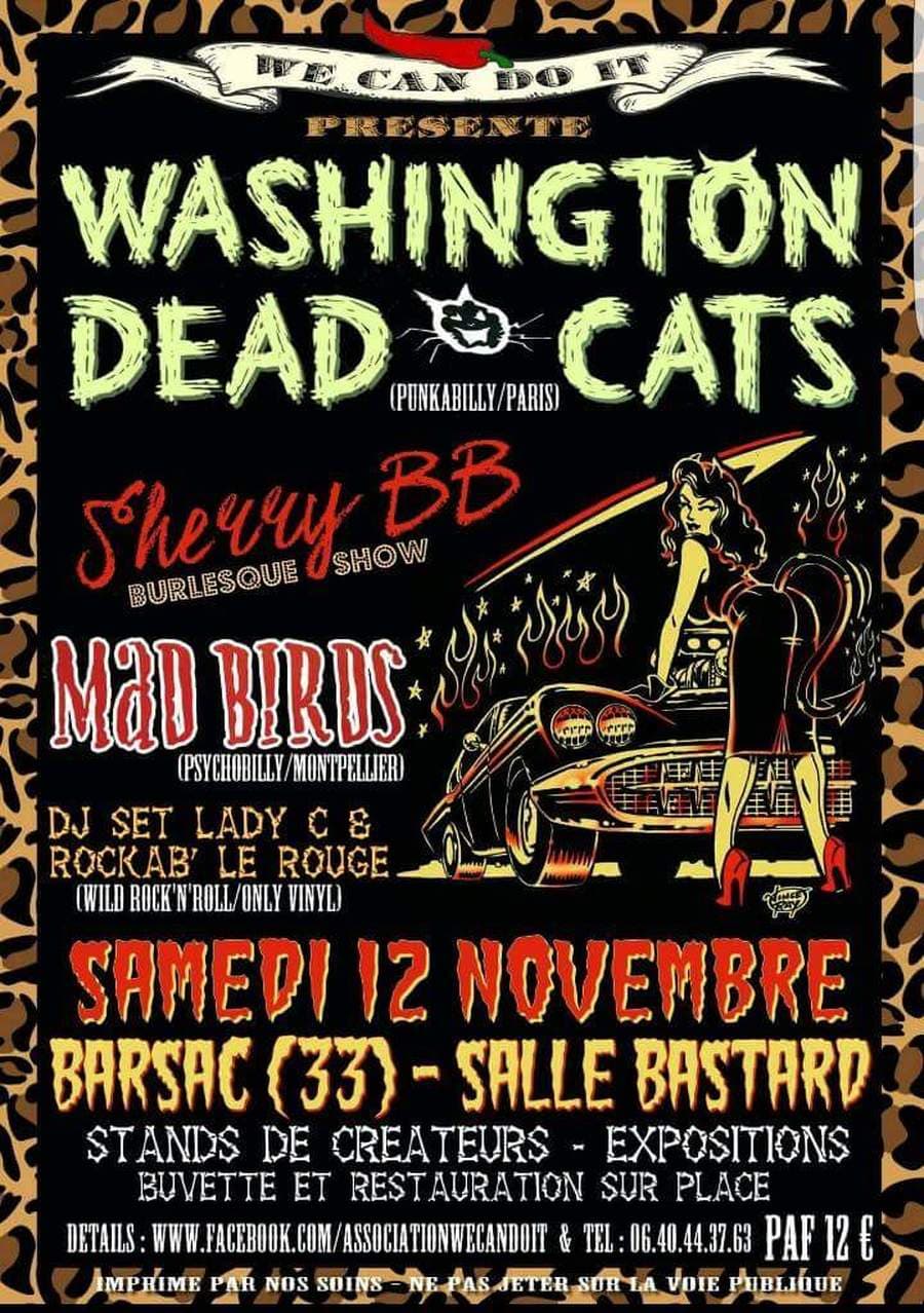 Rock N Roll For Ever Party : avec WASHINGTON DEAD CATS + MAD BIRDS