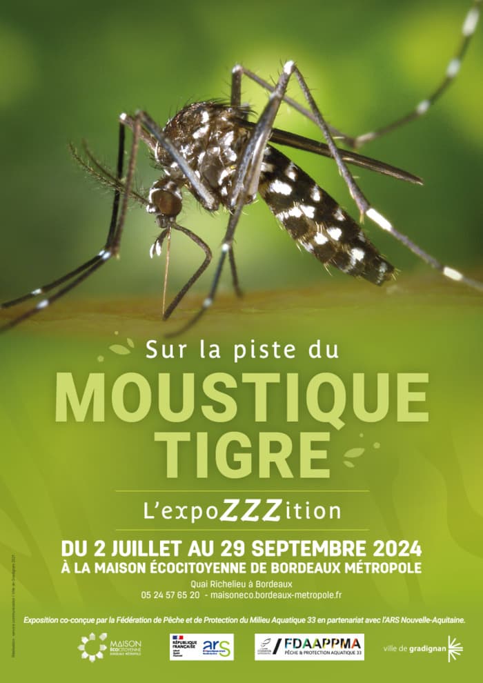 SUR LA PISTE DU MOUSTIQUE TIGRE, L'EXPOZZZITION !