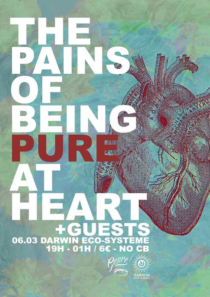 The Pains of Being Pure at Heart