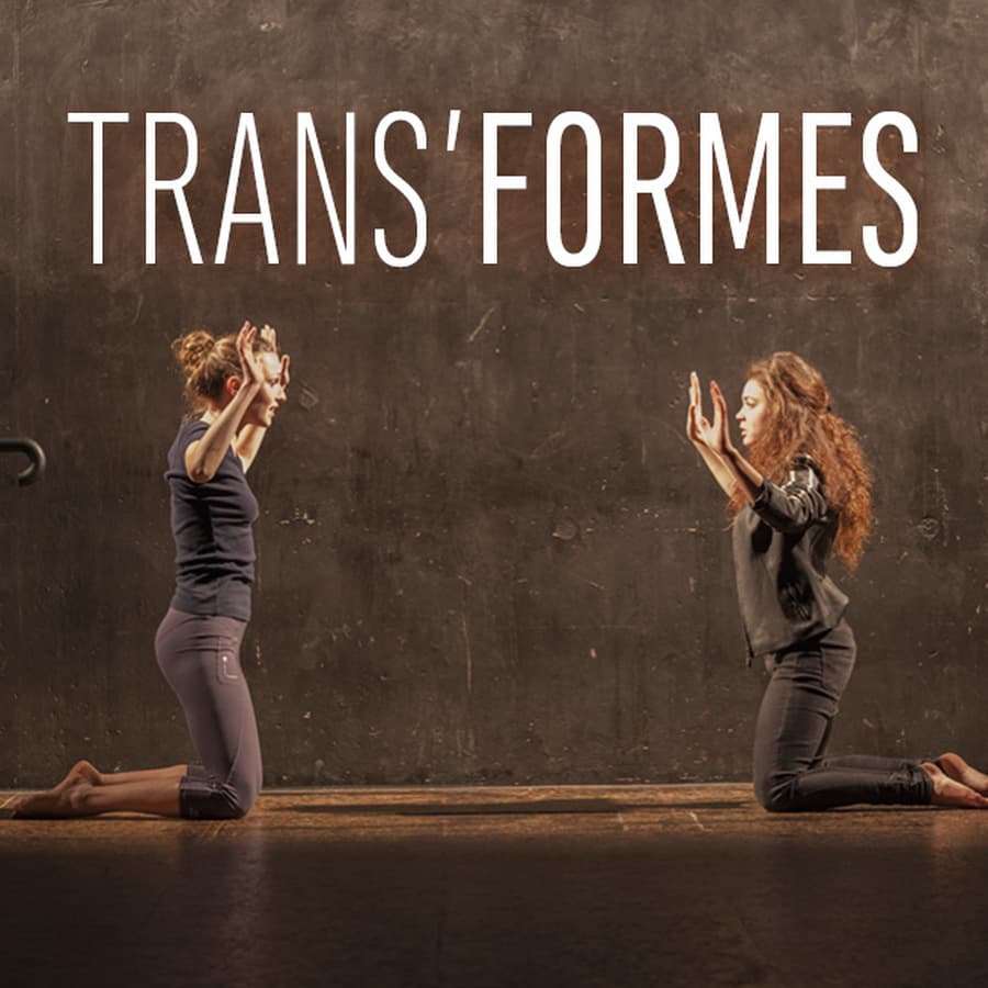 Trans'Formes #6