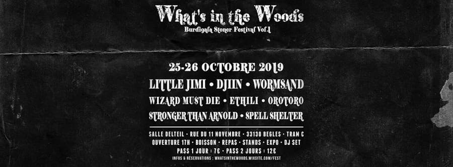 What's in the Woods