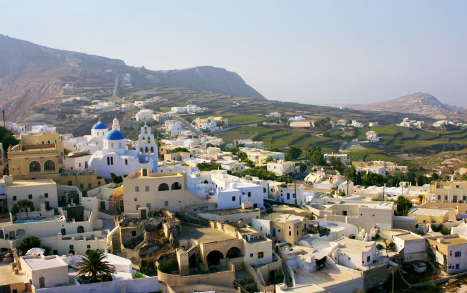 Grèce : la vigne de Santorin, héritage de l’Antiquité
