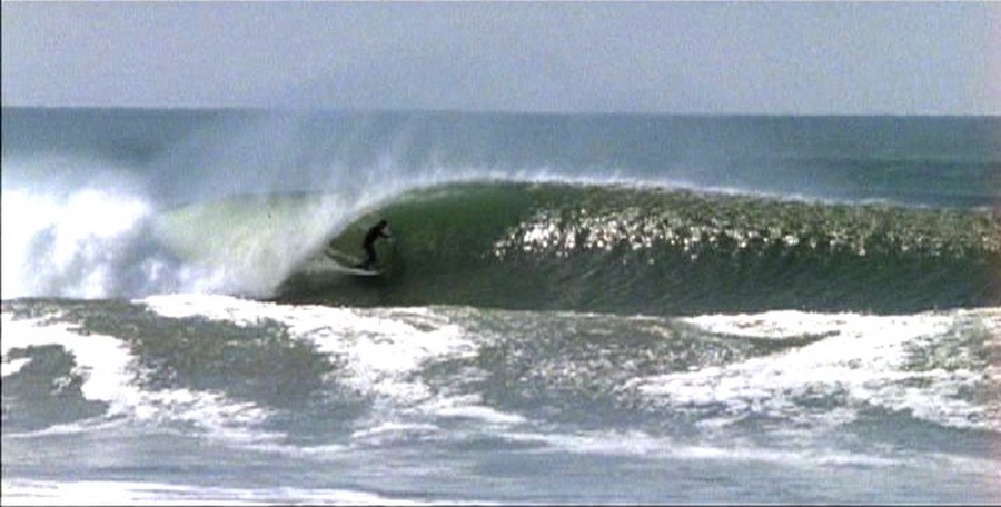 ONE CALIFORNIA DAY