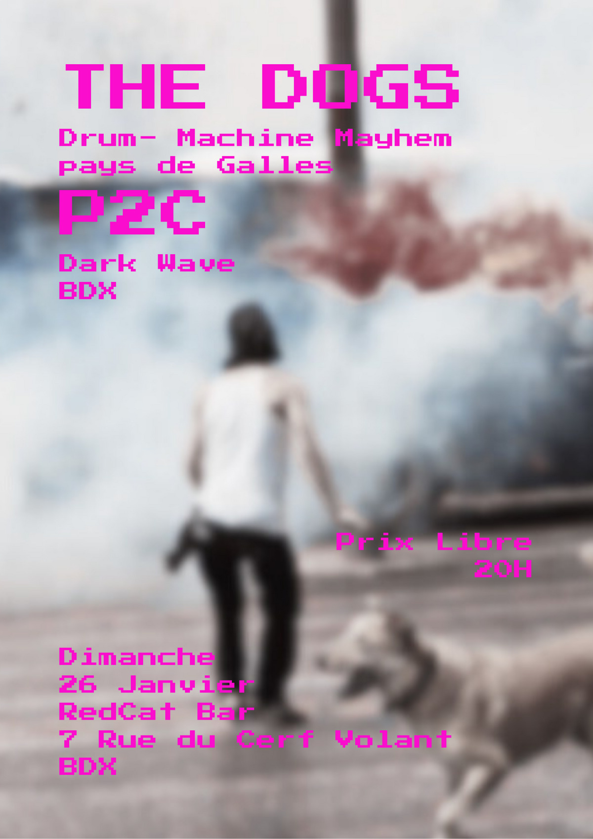 The Dogs + P2C